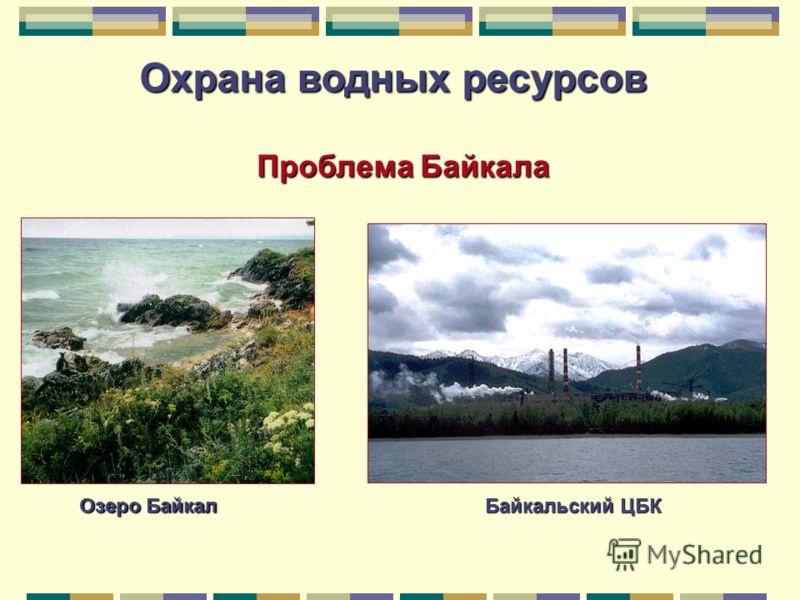 Байкальский ЦБК Озеро Байкал Охрана водных ресурсов Проблема Байкала
