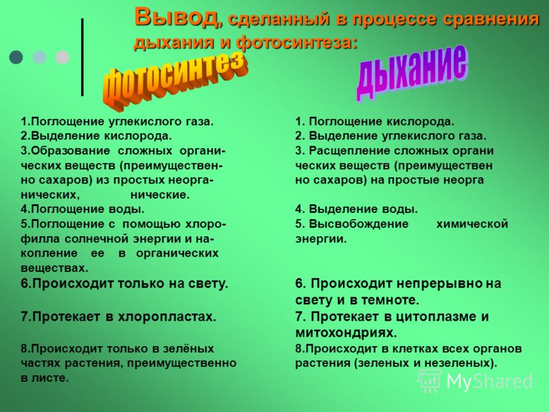Надписи про семью - Надписи - Кира-скрап Монгольская империя Lurkmore
