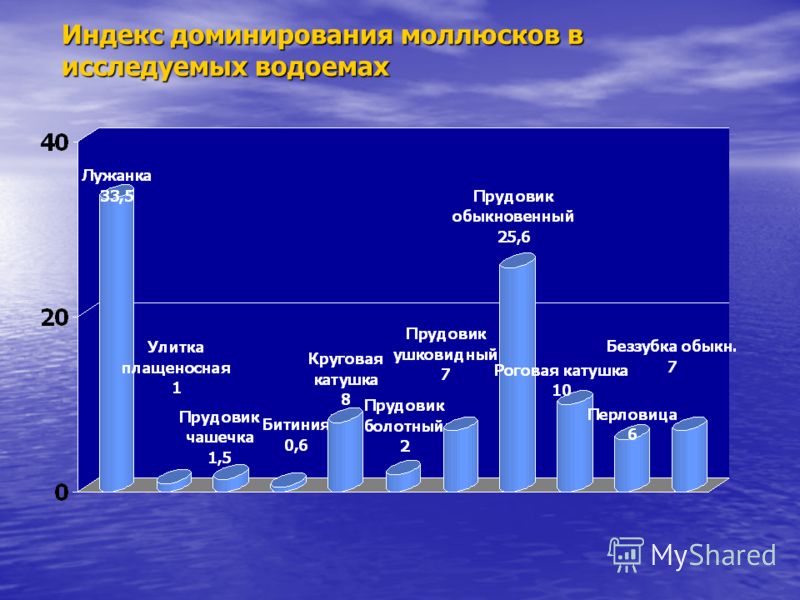 Индекс доминирования моллюсков в исследуемых водоемах