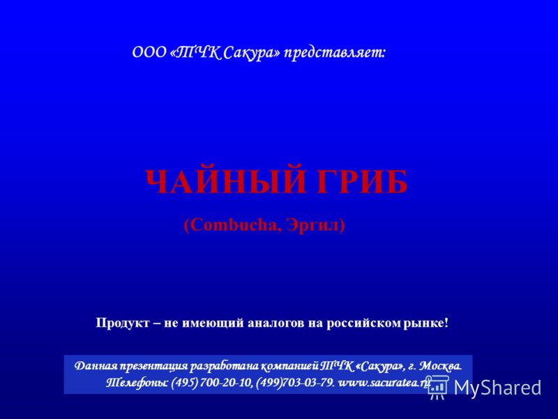 экстракт чайного гриба от паразитов экстракт чайного гриба от паразитов