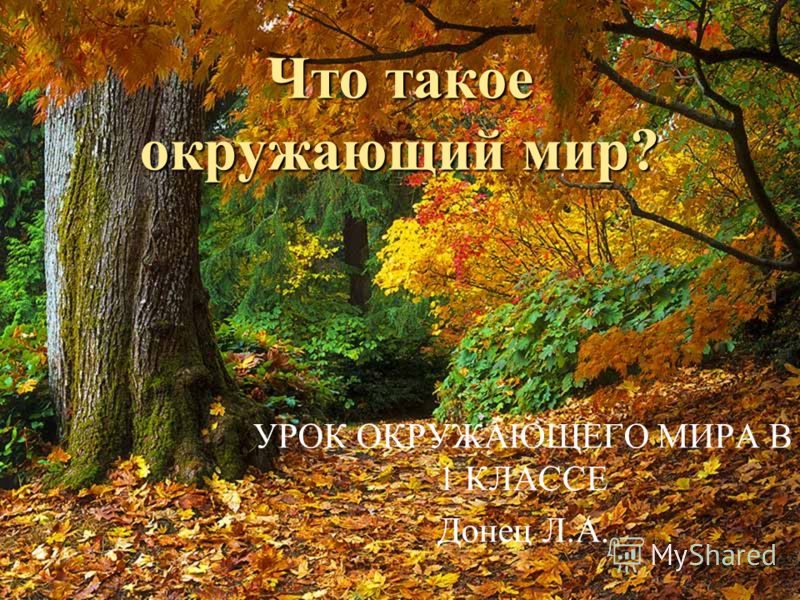 Фото Окр Мир Фото Окр Мир