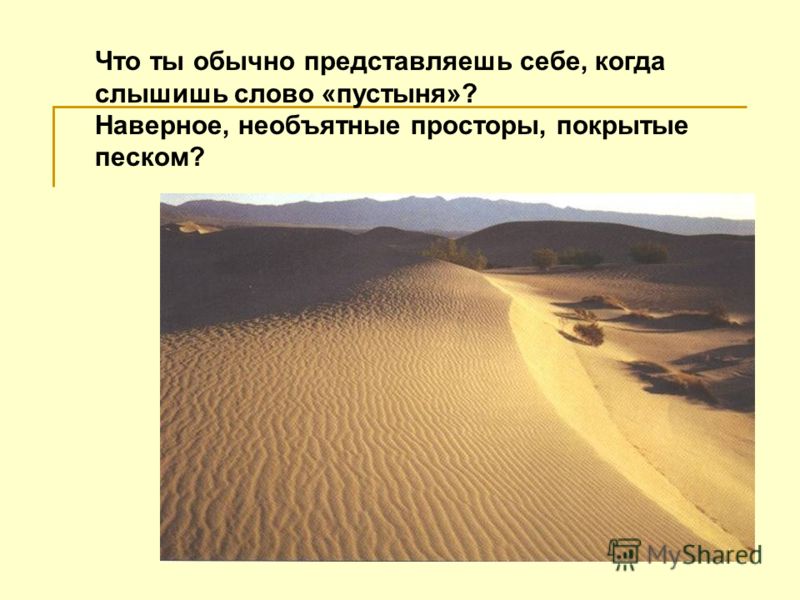 Что ты обычно представляешь себе, когда слышишь слово «пустыня»? Наверное, необъятные просторы, покрытые песком?