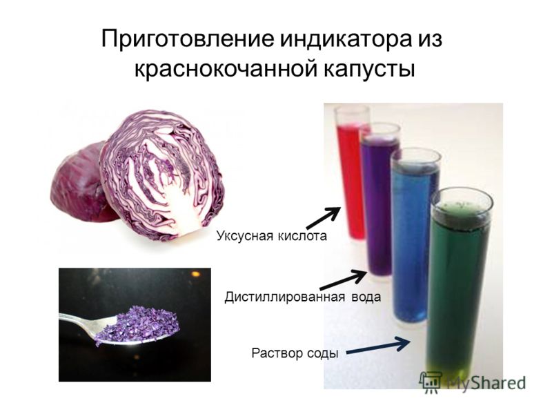 acetic acid and ink acetic acid and ink