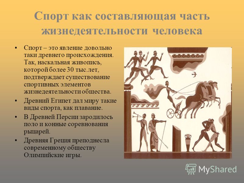 Презентация На Тему Мое Хобби Спорт