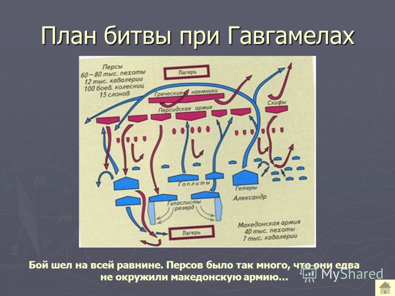 slide_8.jpg