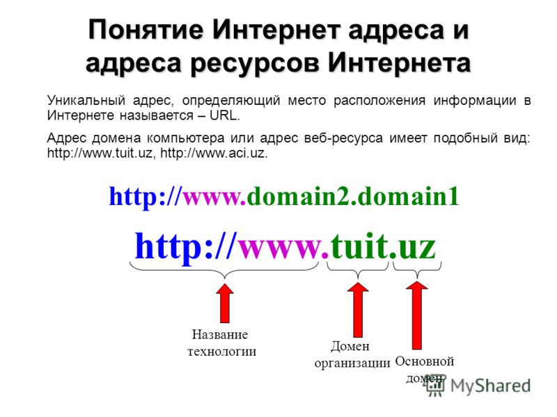 Выберите неверный пример записи адреса www сайта