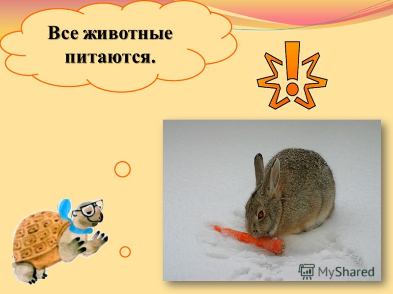 Птицы синица раскраска Птицы синица раскраска