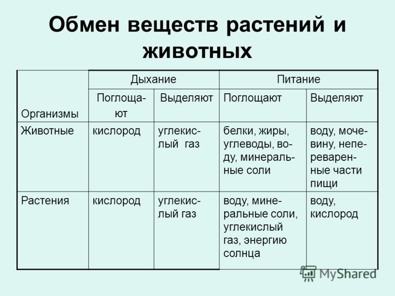 Контрольная работа по теме Обмен веществ