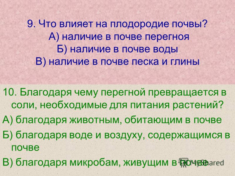 Проект влияние яичной скорлупы на плодородие почв