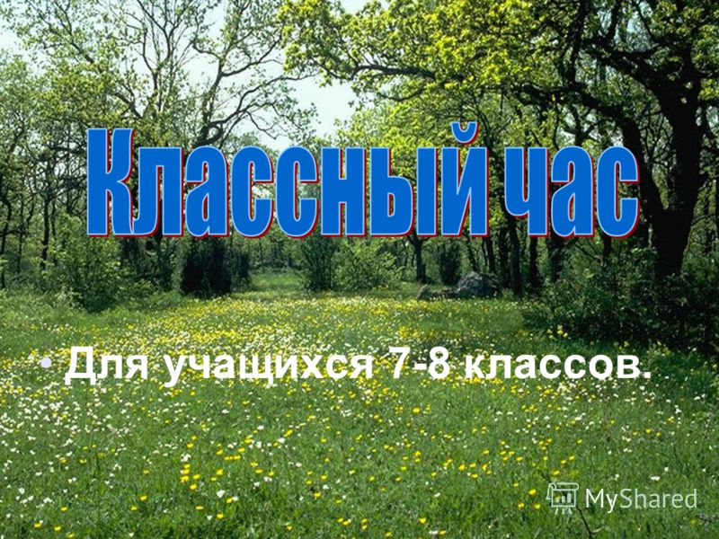 Картинки на тему чистый взгляд на природу Картинки на тему чистый взгляд на природу