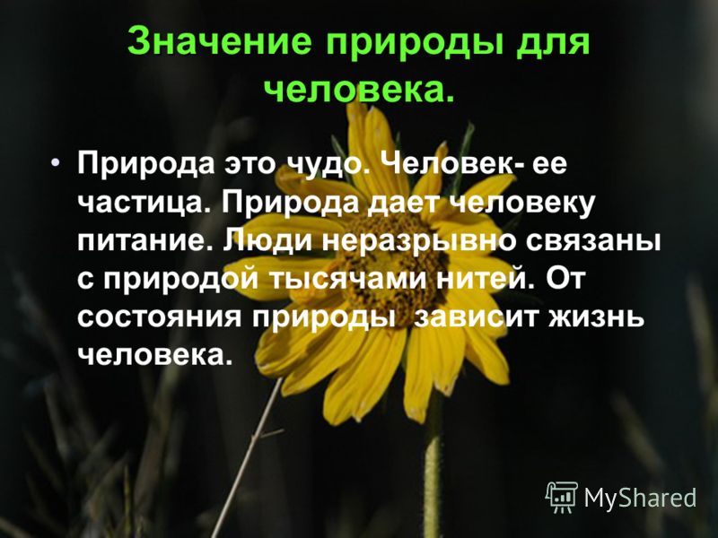 Картинки на тему как сберечь природу Картинки на тему как сберечь природу