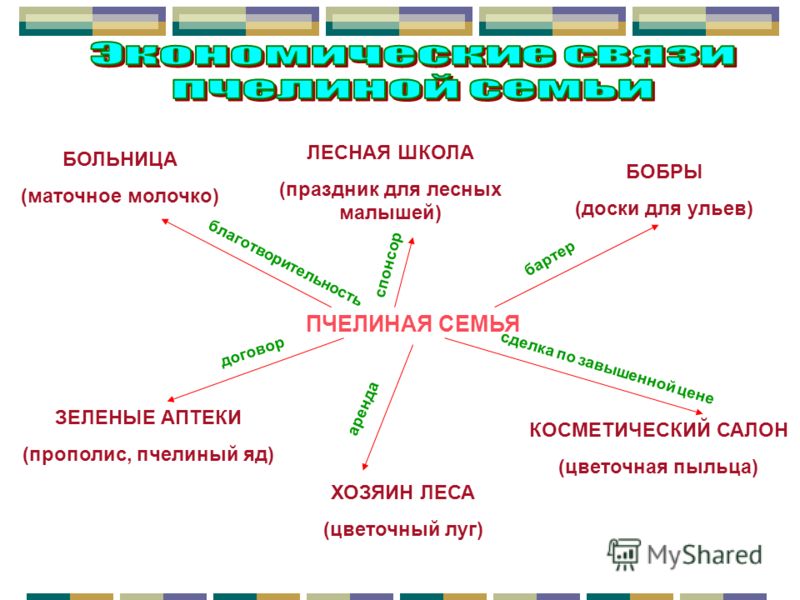 Поликлиника 58 невского района официальный сайт телефон