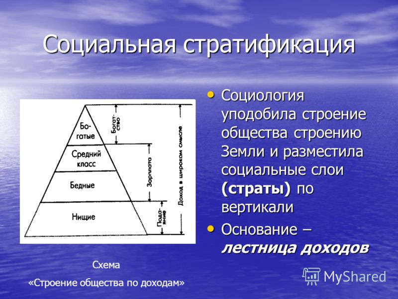 схема строения общества