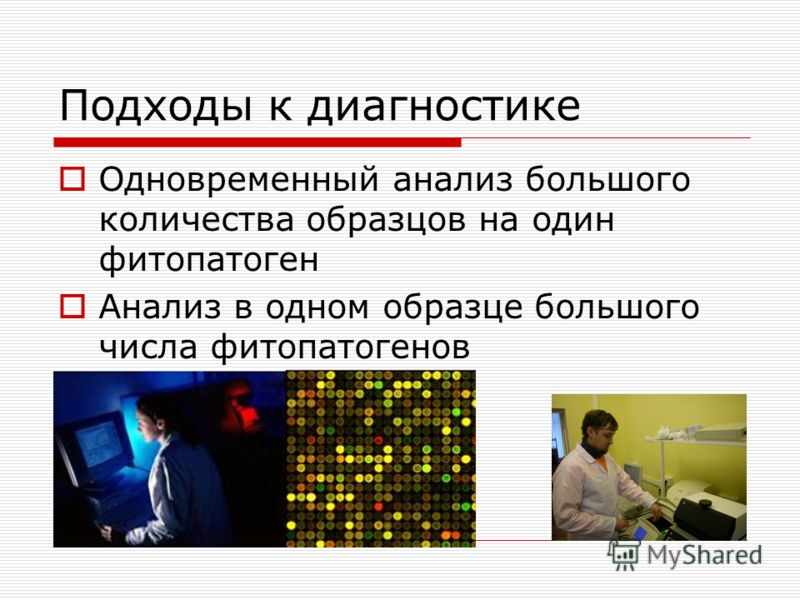 papillomi virus analiza 2 na oshibkah uchatsya posle 2 анализа на вирус папилломы фото