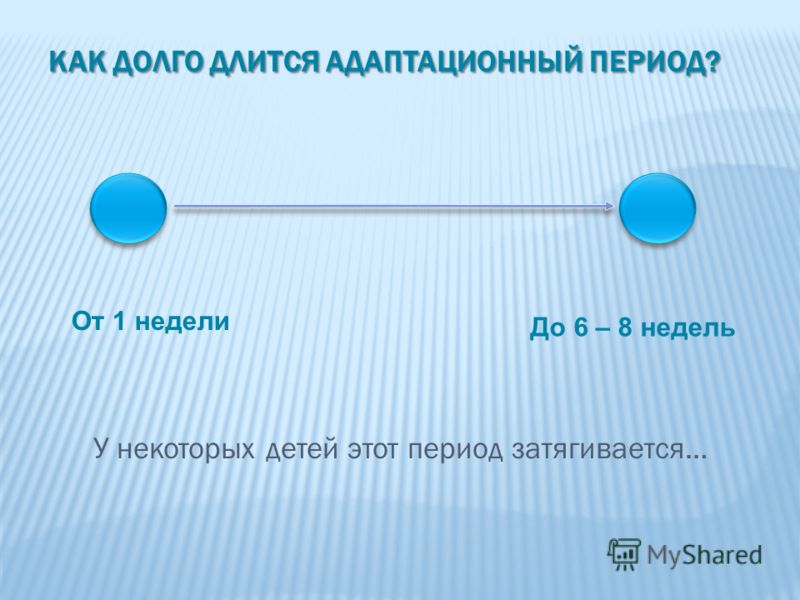 Мастер класс адаптация детей Мастер класс адаптация детей