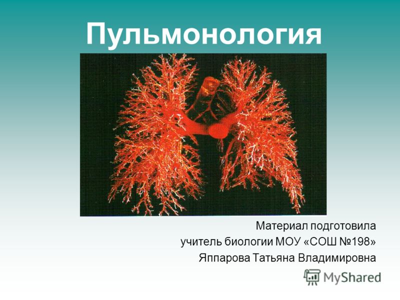 Профилактика Заболеваний Органов Дыхания Презентация Профилактика Заболеваний Органов Дыхания Презентация