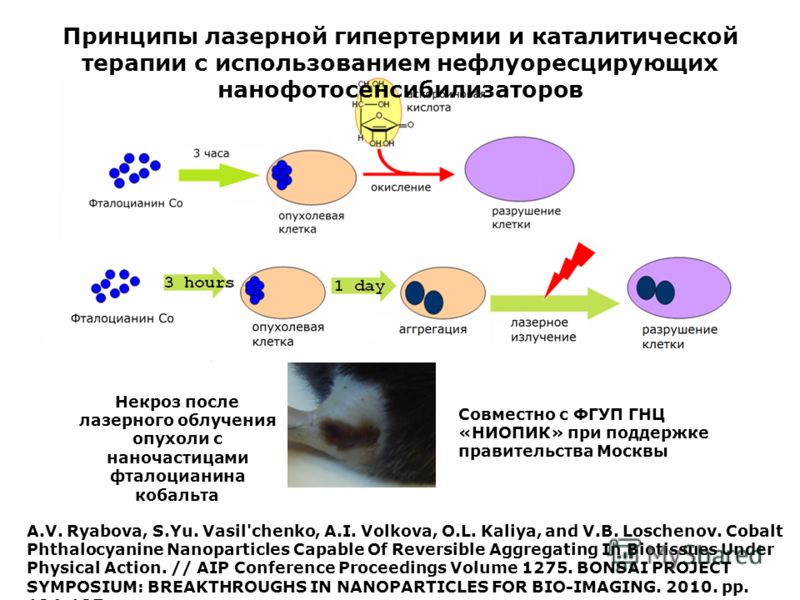 A.V. Ryabova, S.Yu. Vasil'chenko, A.I. Volkova, O.L. Kaliya, and V.B. Loschenov. Cobalt Phthalocyanine Nanoparticles Capable Of Reversible Aggregating In Biotissues Under Physical Action. // AIP Conference Proceedings Volume 1275. BONSAI PROJECT SYMP