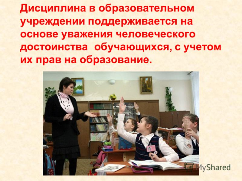 Статистика по отношению к школе Статистика по отношению к школе