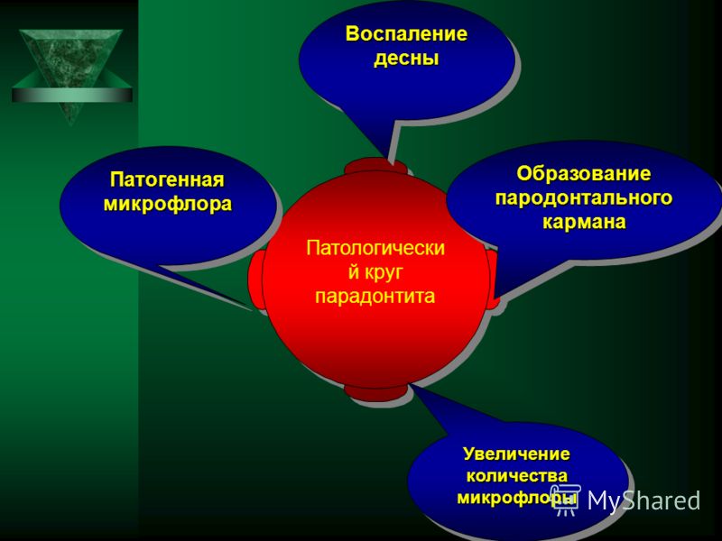 Системное заболевание зубов Системное заболевание зубов
