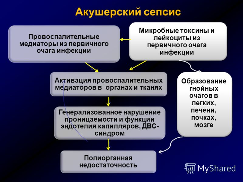 Сепсис в акушерстве и гинекологии