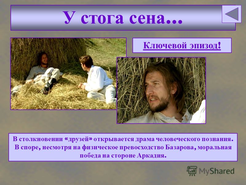 Молочай садовый многолетний посадка и уход фото Молочай садовый многолетний посадка и уход фото