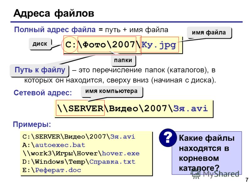 Реферат: Модули, файлы и записи