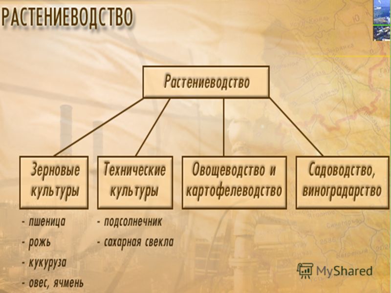 ЛИБрежнев Ленинским курсом Том 3 19701972