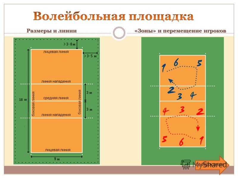 Волейбольная площадка размеры Волейбольная площадка размеры