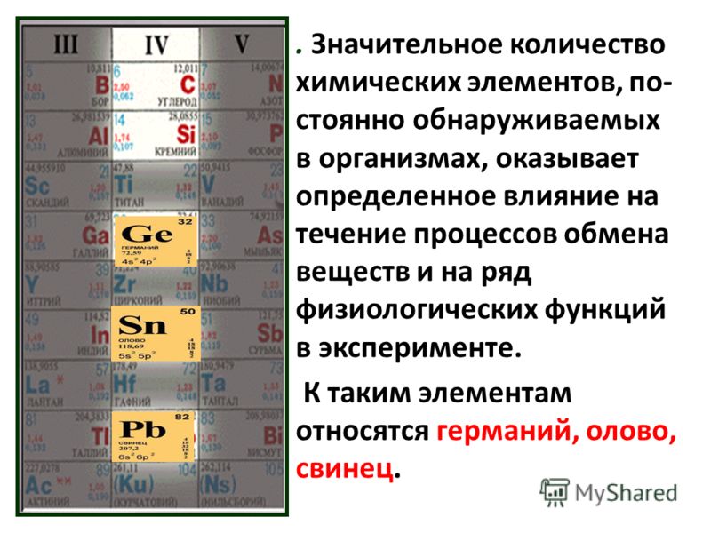 Химический элемент влияющий на поведение секс меньшинств