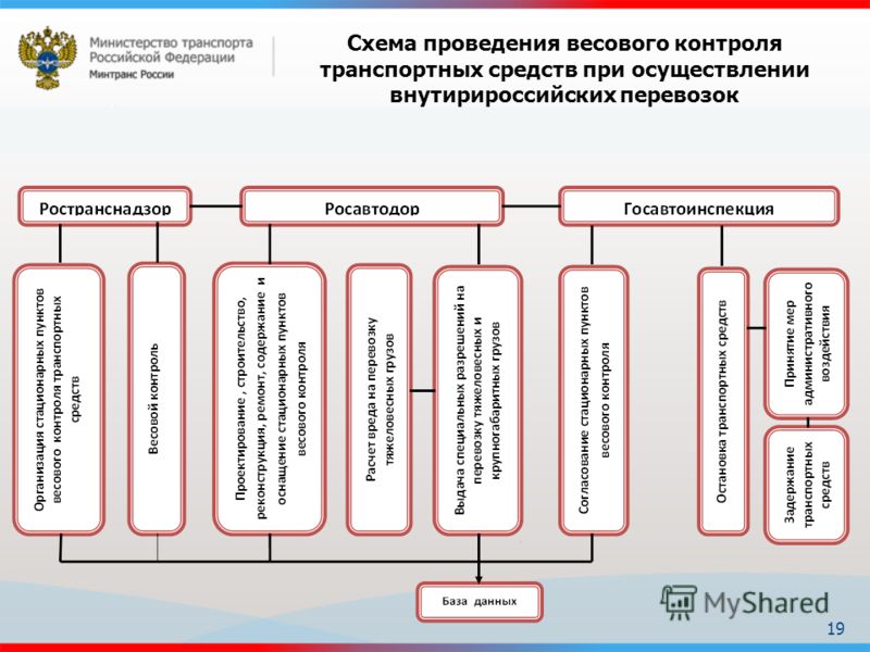 Схема проведения весового контроля транспортных средств при осуществлении внутирироссийских перевозок 19