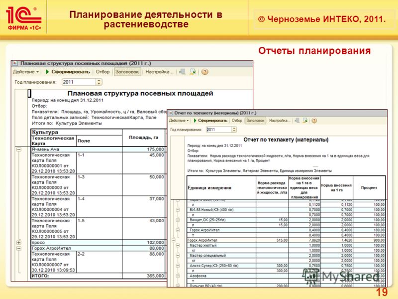 19 Планирование деятельности в растениеводстве Черноземье ИНТЕКО, 2011. Отчеты планирования