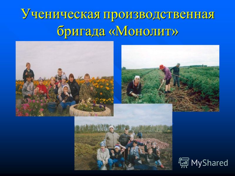 В настоящее время в акционерном обществе «Сергеевское» 50% рабочих – выпускники школы. Среди них передовики сельского хозяйства, награжденные Почетными грамотами акционерного общества; Среди них передовики сельского хозяйства, награжденные Почетными 