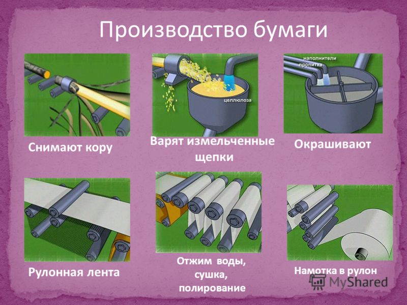 Как из целлюлозы изготовить бумагу Как из целлюлозы изготовить бумагу