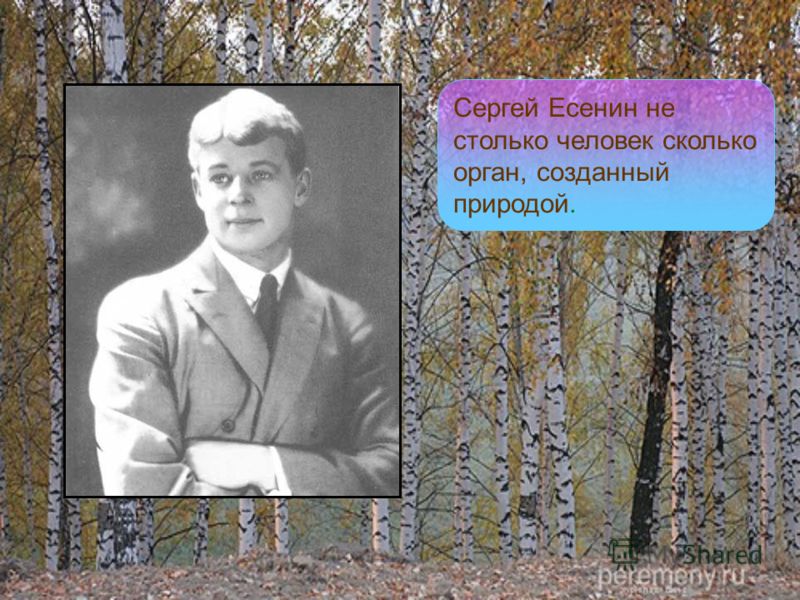Сергей Есенин не столько человек сколько орган, созданный природой.