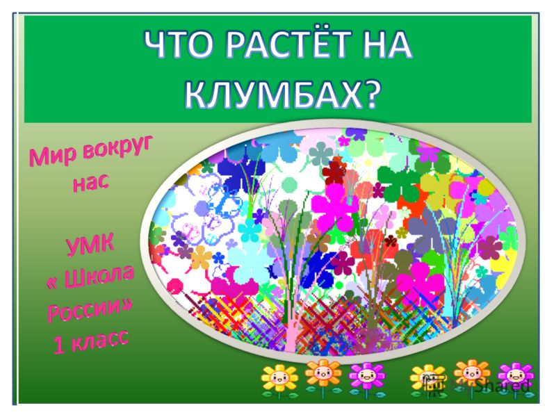 что растет на клумбе картинки что растет на клумбе картинки