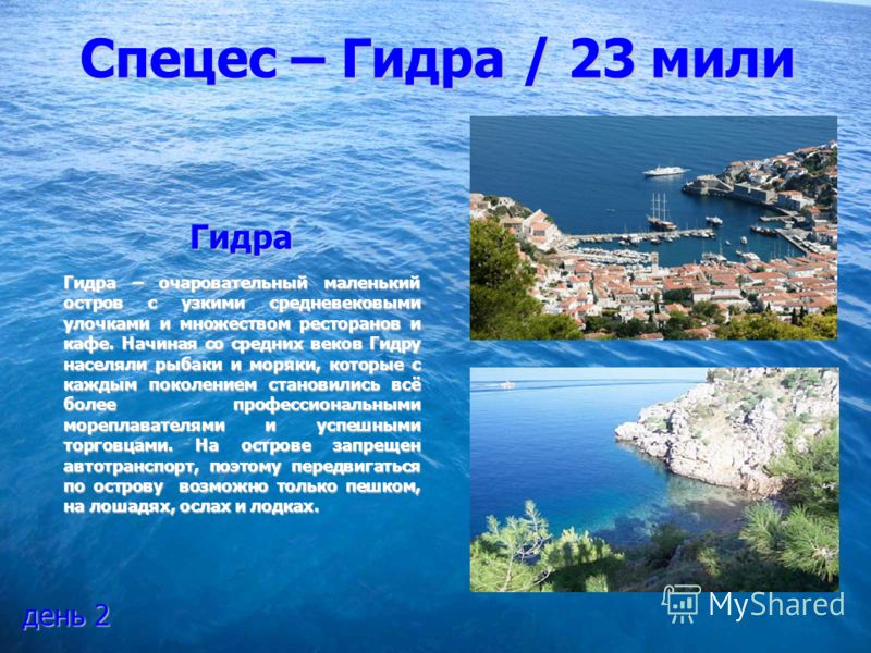 Спецес Афины
