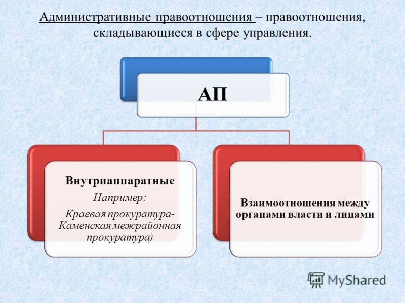 Понятие и виды правоотношений. Правоотношения: признаки, виды, структура