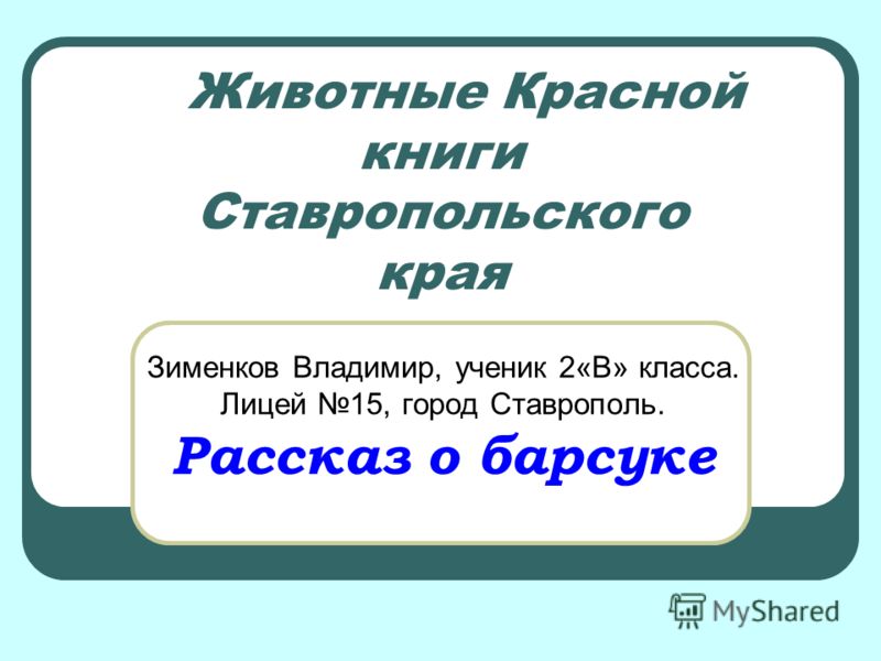 Презентация о барсуке скачать