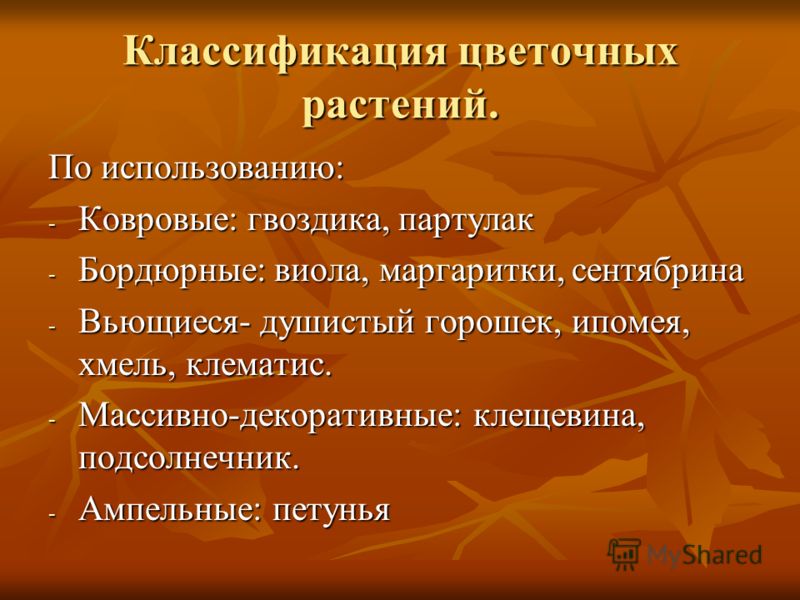 Картинки ТЕСТ КЛАССИФИКАЦИЯ РАСТЕНИЙ 6 КЛАСС