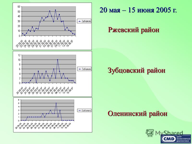 Ржевский район Зубцовский район Оленинский район 20 мая – 15 июня 2005 г.