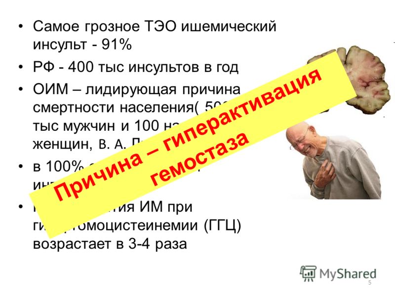 Ветеринарная клиника кутлиматова уфа