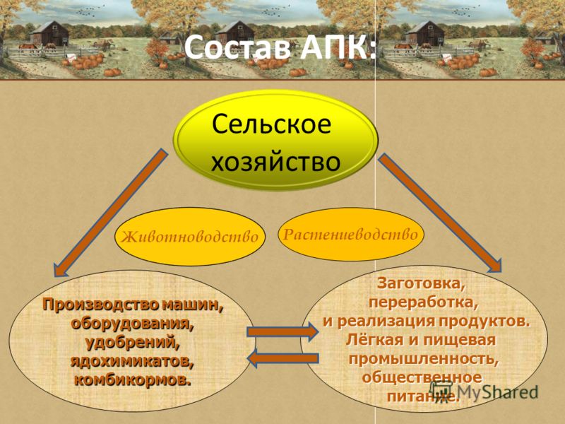 Реферат: Аграрно-промышленный комплекс