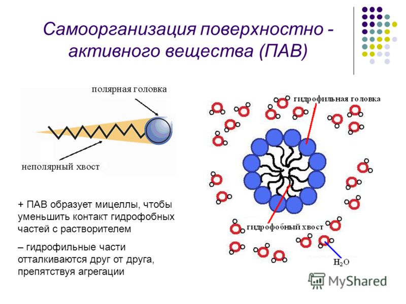 when surfactant is added what happens to the tidal volume when surfactant is added what happens to the tidal volume
