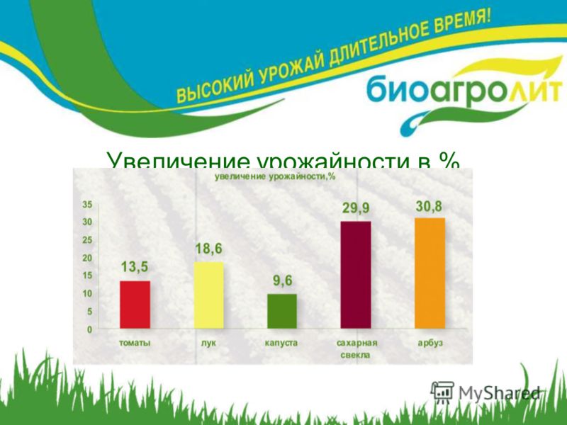 Как правильно посадить виноград Как правильно посадить виноград