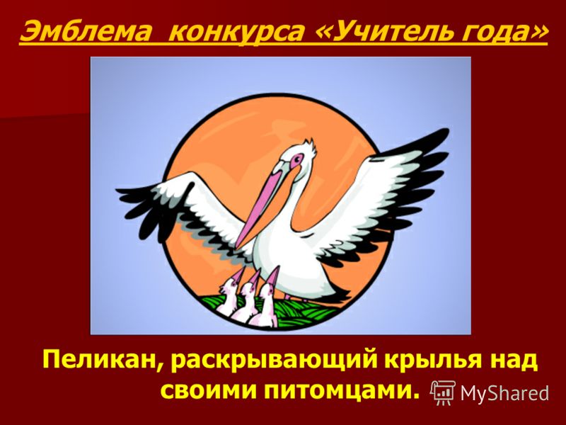 Эмблема конкурса «Учитель года» Пеликан, раскрывающий крылья над своими питомцами.