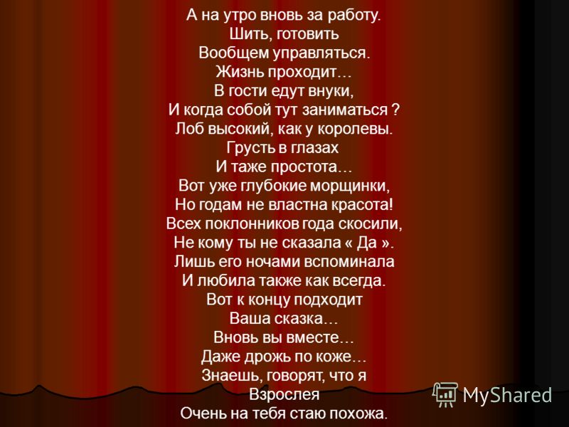 Кошка в кружевах Кошка в кружевах