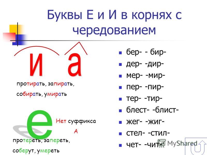 Тер тир правило и примеры Корень мир суффиксов