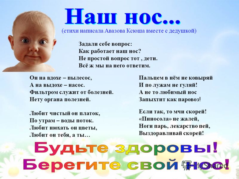 Для чего человеку нос стих Для чего человеку нос стих