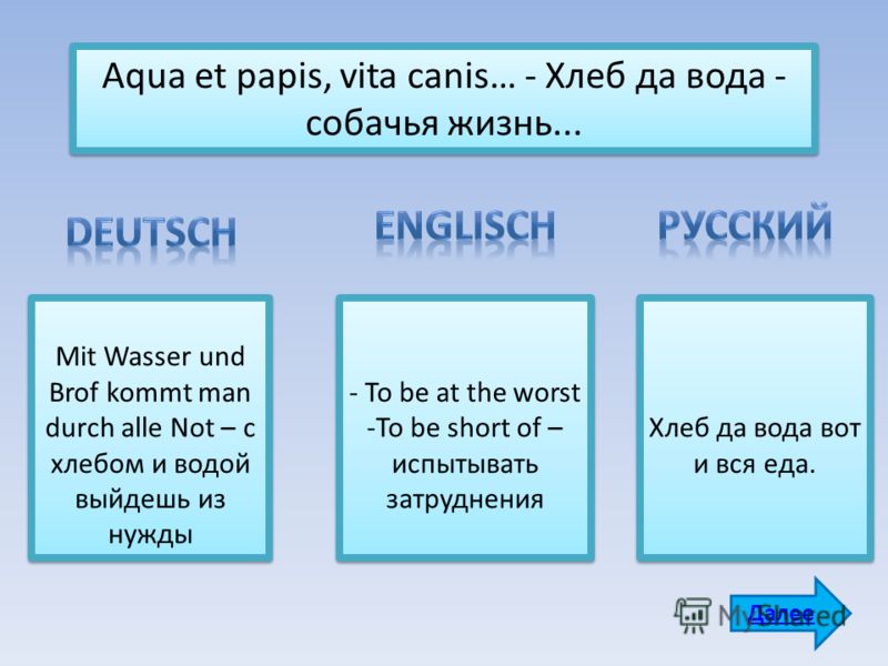 Поговорка хлеб и вода Поговорка хлеб и вода