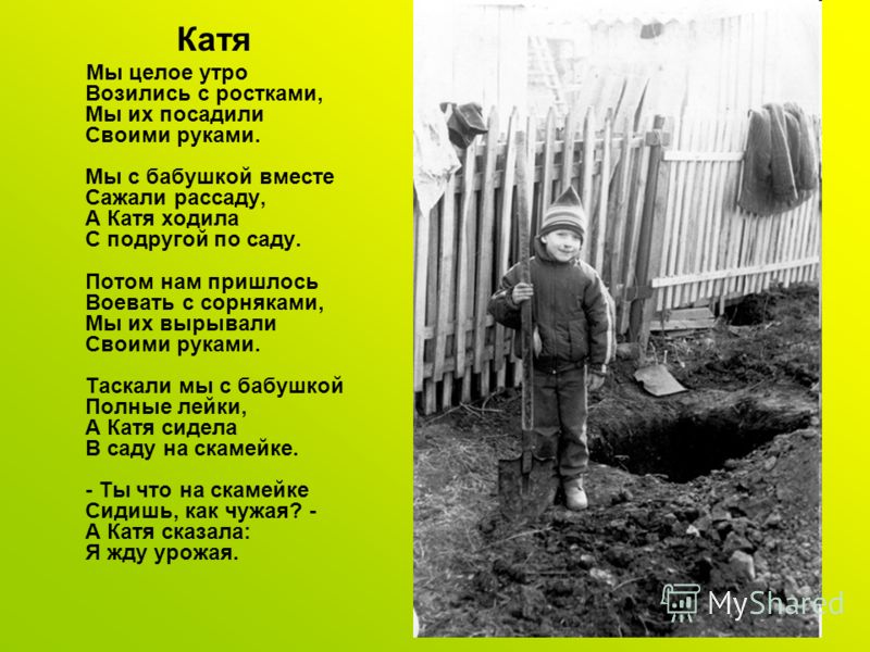 Иван Тургенев - Как хороши, как свежи были розы : читать стих, текст День сурка (фильм) Википедия